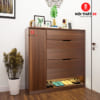 Tủ Giầy Thông Minh TGM03